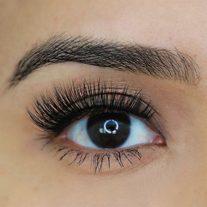 Big Fan™ Star Struck Lashes